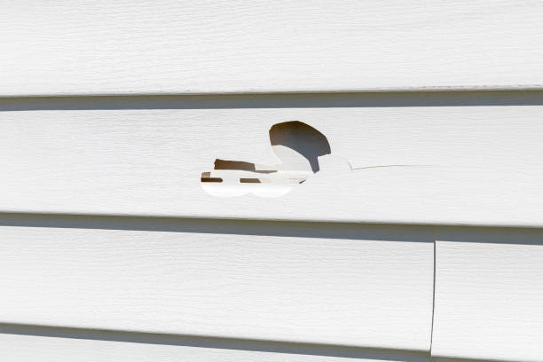 How To Choose The Right Materials for Your Siding Installation in 'Andrews Af, MD